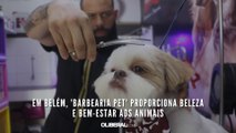 Em Belém, 'barbearia pet' proporciona beleza e bem-estar aos animais