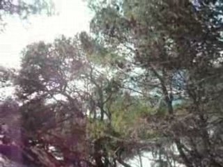 SUr les hauteurs de Six-fours!