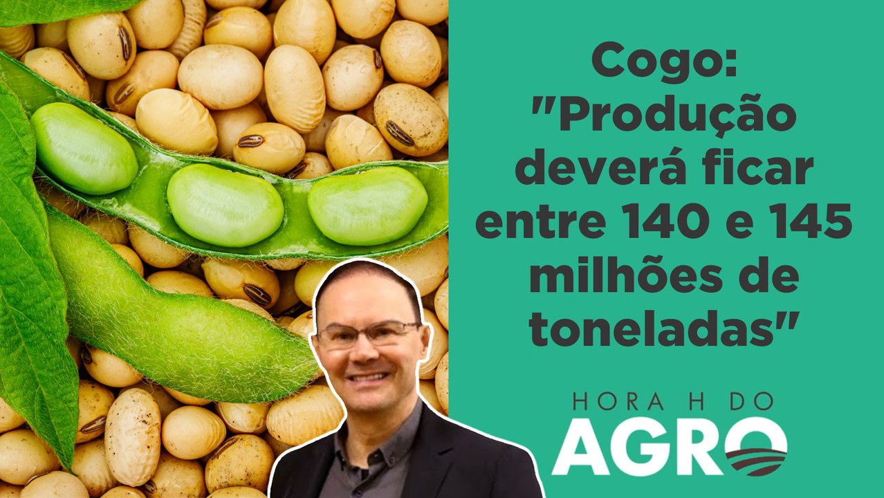 Soja: sem safra recorde, quando preço vai subir?  | HORA H DO AGRO