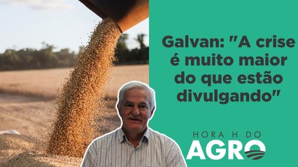 Vai faltar soja no Brasil? Aprosoja alerta para risco de desabastecimento | HORA H DO AGRO
