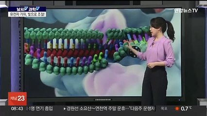 [날씨쏙 과학쏙] 나쁜 것만 싹둑! 유전자 가위, 빛으로 조절한다!