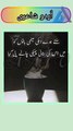 Urdu_poetry | poetry of Instagram| poetry community | poetry In Urdu Hindi