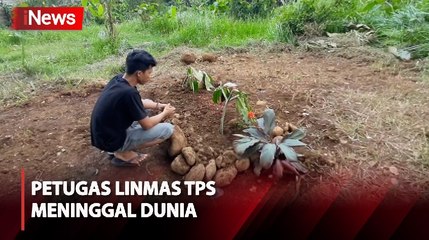 Petugas Linmas TPS di Purbalingga Meninggal, Diduga Akibat Kelelahan