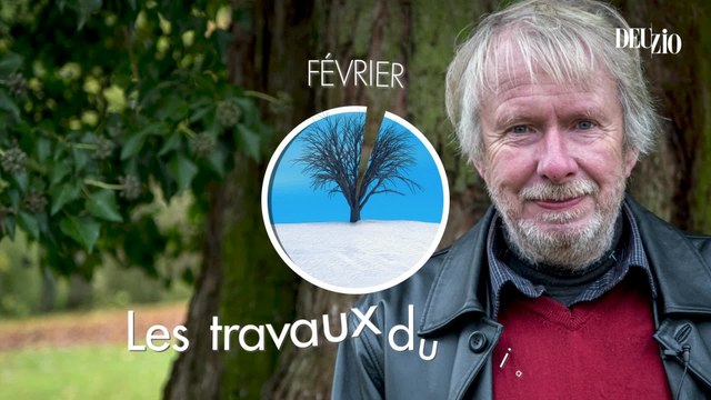 Travaux du jardin - 17 février 2024 : les magnolias et le gel