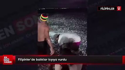 Filipinler’de balıklar kıyıya vurdu
