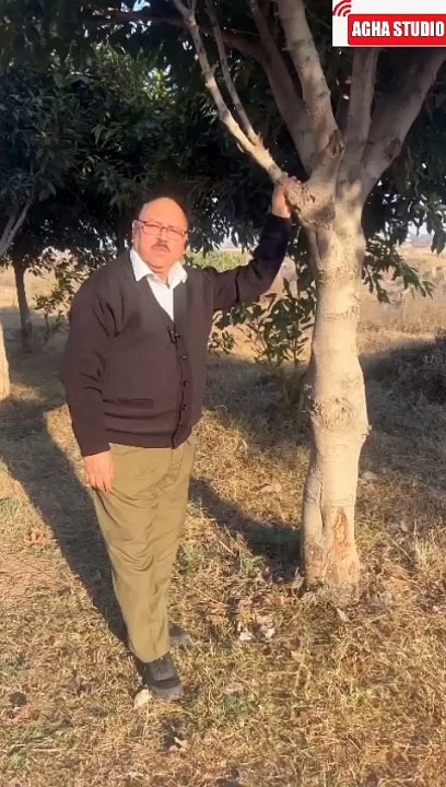 People peeking into other people's lives  | دوسرں کی زندگی میں جھانکنے والے لوگ