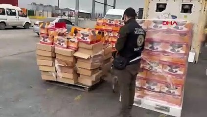 Hurma yüklü konteynerden 36 milyonluk uyuşturucu çıktı