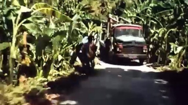 Loin du paradis Bande-annonce (EN)