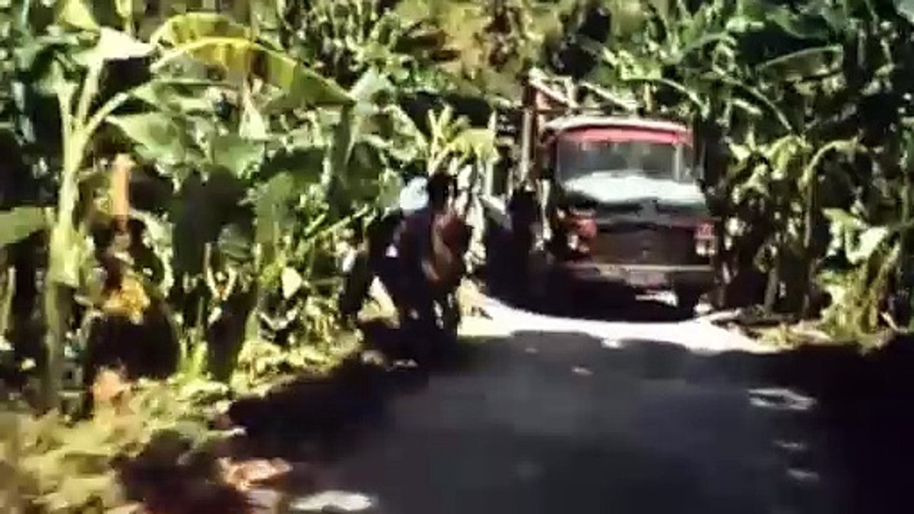 Loin du paradis Bande-annonce (EN)