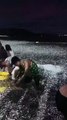 Depremin habercisi mi? Filipinler’de binlerce balık kıyıya vurdu! Sepetini alan sahile koştu!