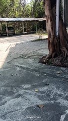 बंद हुआ बरकतउल्ला यूनिवर्सिटी का डिस्टेंस एजुकेशन