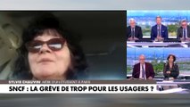 Sylvie Chauvin : «Moi je comprends le mouvement de grève, mais ce sont toujours les mêmes pénalisés»