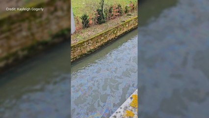 'Oil slick' in city river
