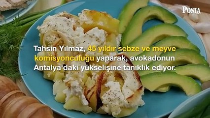 Türkiye'de kıymeti bilinmeyen avokadoyu Rusya'da görenler kapış kapış  alıyor