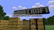 Remember when... No cave, Nether, ocean  update... Only one type of village... Sheep  were rare... Only three types of cats...  Emeralds we're useless... Sheep  didn't drop meat...  No bees,  pandas,  parrots , etc... The old look of ores.