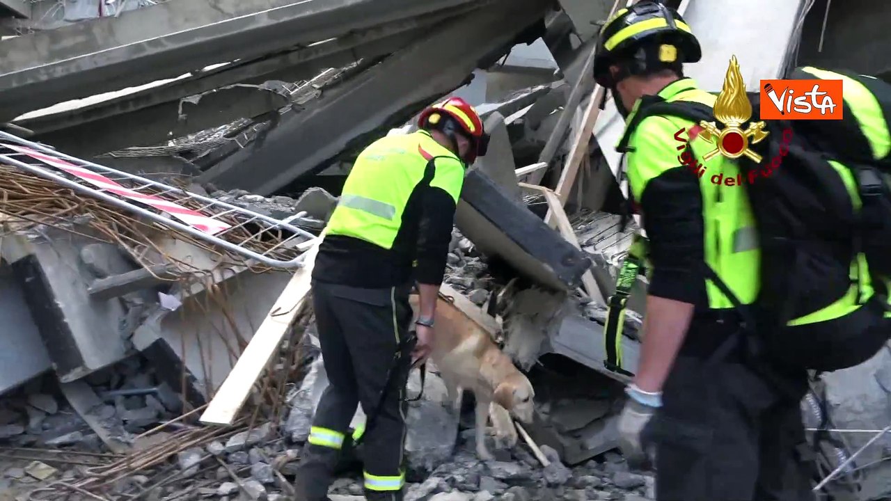 Crollo Firenze, le squadre cinofile al lavoro per la ricerca dei dispersi