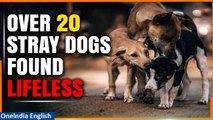 Telangana: Over 20 Stray Dogs Found Deceased, A Case of Animal Cruelty? | Oneindia News