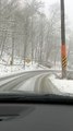 Car Slides Into Snowy Ditch