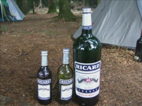 Je serais alcoolique