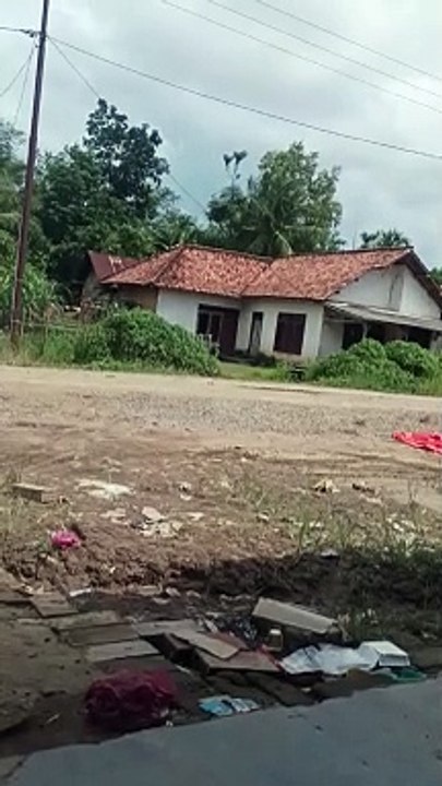 Jemur padi