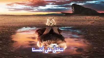 اجمل ما يقال فى الحياة من الحكماء