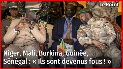 Niger, Mali, Burkina, Guinée, Sénégal : « Ils sont devenus fous ! »