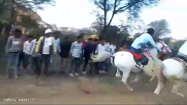 घुड़ दौड़ प्रतियोगिता में केसपुर की घोड़ी ने पाया प्रथम स्थान, देखे वीडियो