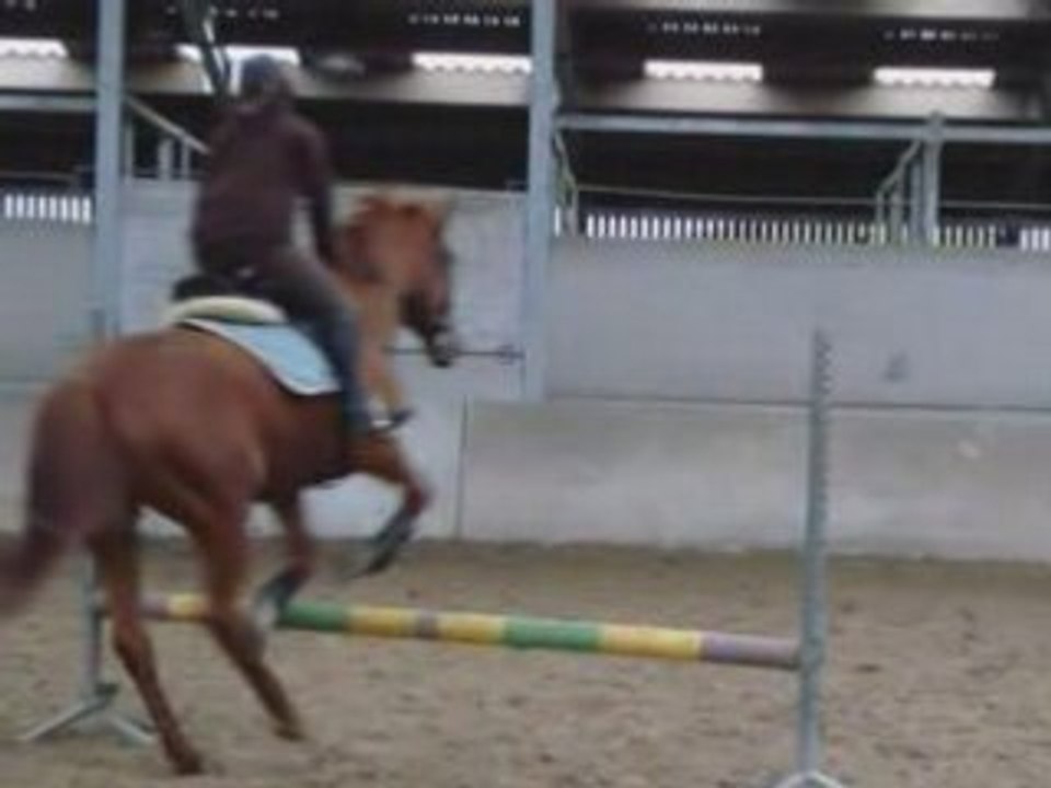 Pearl à l'obstacle