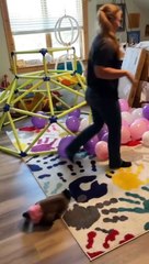 Birthday Prep went a little like this