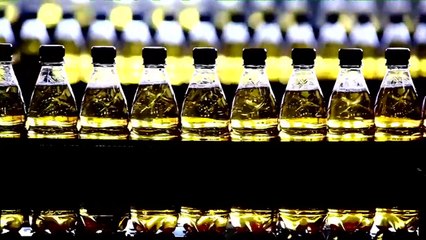 Sucre, le doux mensonge Bande-annonce (EN)