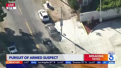 Most Extreme Police Stopping Techniques