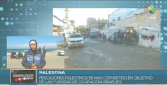 Pescadores palestinos en peligro por condiciones bélicas en Rafah