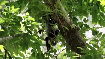 México indómito  Los vivos y los muertos