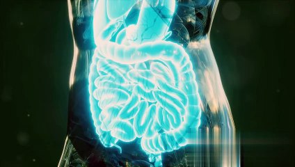 "Sebaceous Glands: Guardians of Skin and Hair Health"