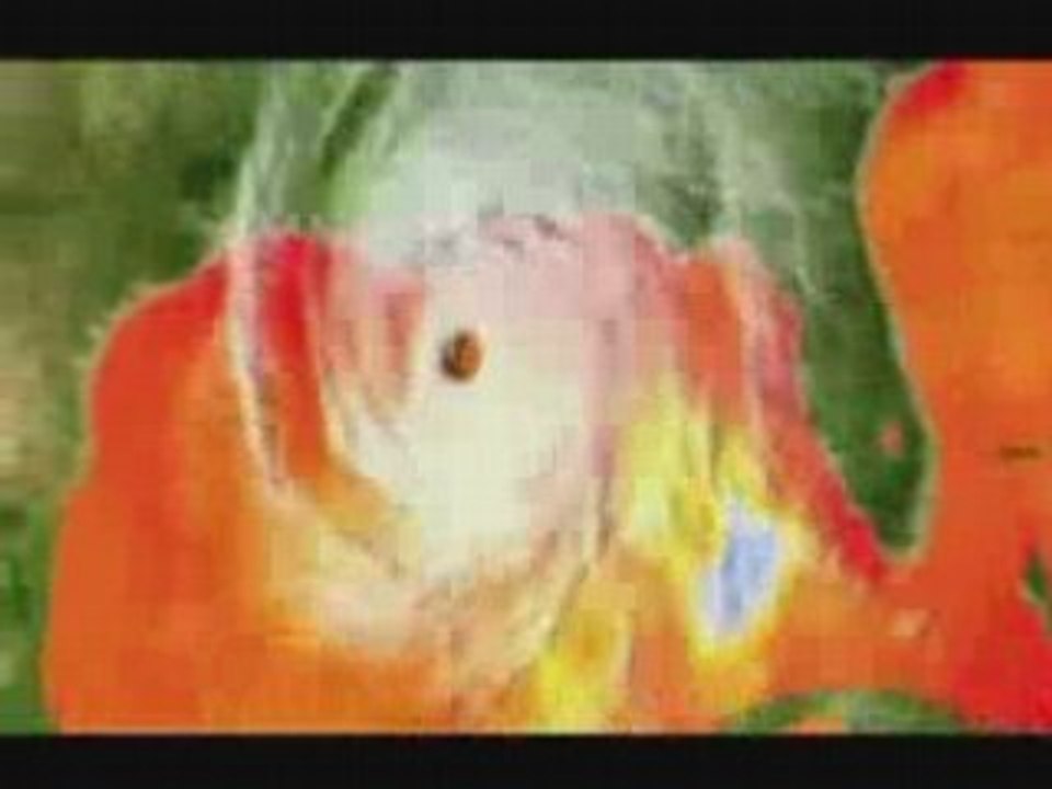 Global Warming dangerous information