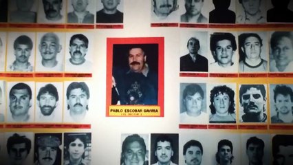 The Fragile Empires Of The Worlds Most Infamous Drug Lords