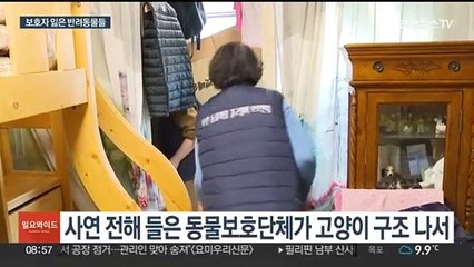 하루아침에 사라진 보호자…남겨진 반려동물은?