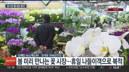 도심에서 미리 만나는 봄…봄 향기 가득한 꽃시장