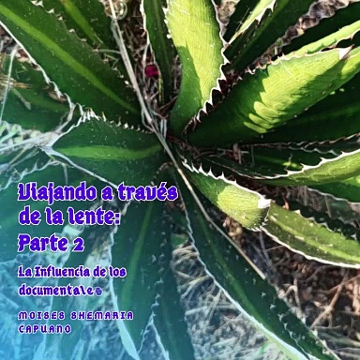 Moises Shemaria Capuano| Además (parte 2)