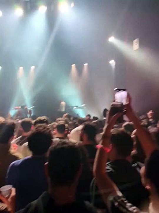 Les images de centaines de personnes scandant "Free Palestine" pendant un concert au Bataclan, lieu symbole des attentats du 10 novembre, provoquent énormément de réactions