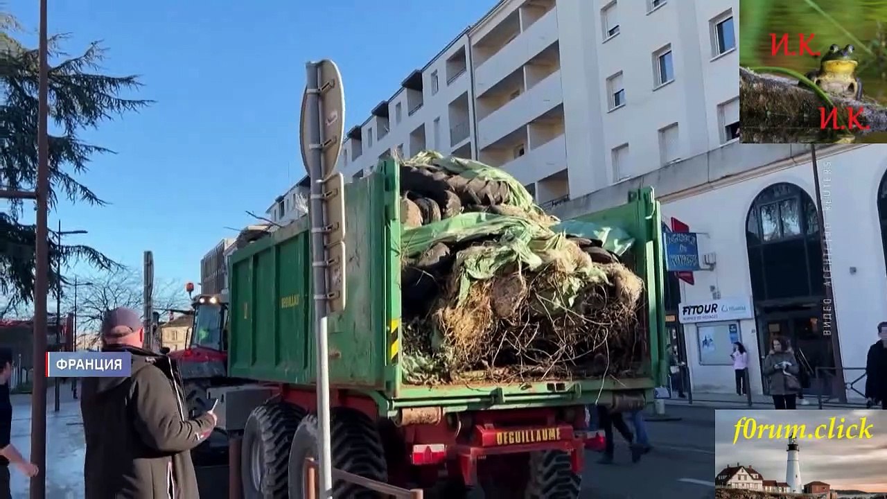 Власти подняли армию против фермеров!  Анархия во Франции к чему может привести бунт