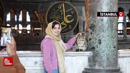 Ayasofya'nın kedisi GLİ'ye yoğun ilgi