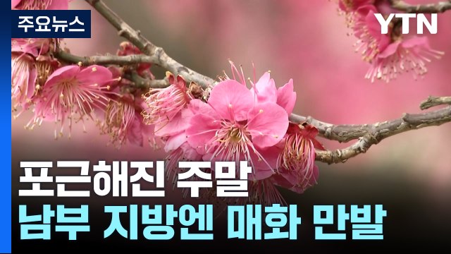 포근한 날씨에 유원지도 북적...남부에는 매화 만발 / YTN