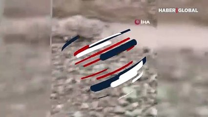 Kahramanmaraş’ta yaralı çakal kurtarıldı