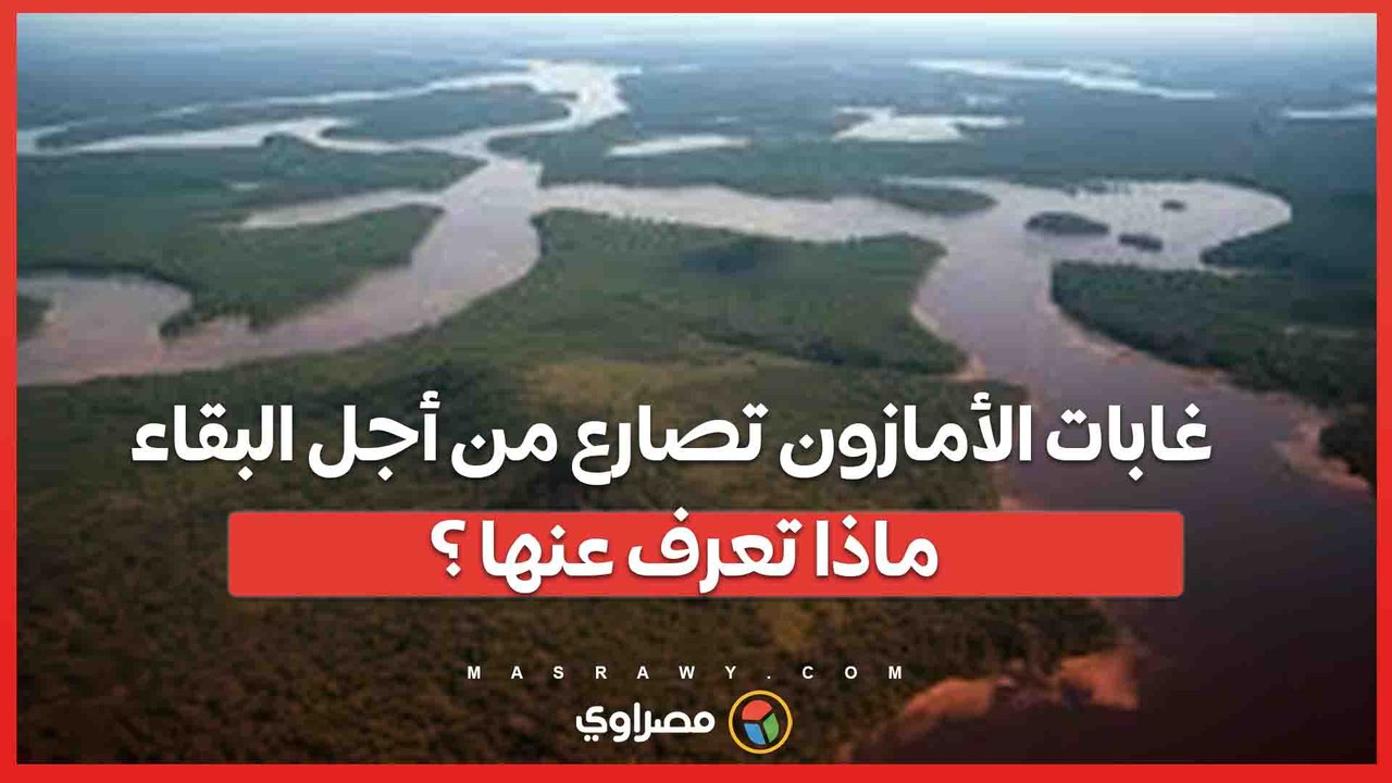 غابات الأمازون تصارع من أجل البقاء .. ماذا تع...