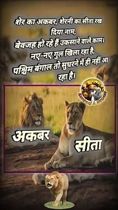 अकबर और सीता   #shorts #shortsfeed #akbar #sita #shortsbeta #trending #viral