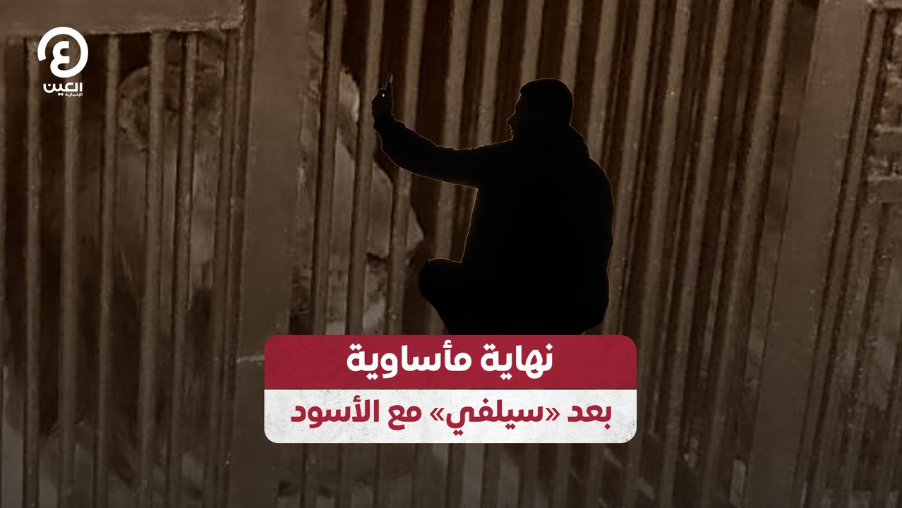 نهاية مأساوية بعد «سيلفي» مع الأسود