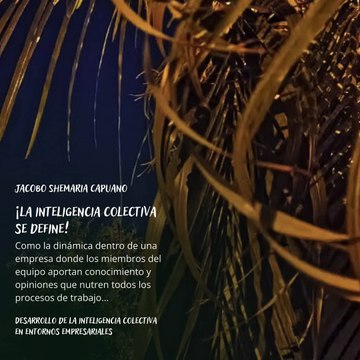 -Jacobo Shemaria Capuano- Desarrollo de la inteligencia colectiva en entornos empresariales: (Parte 1) (Creado por @JacoboShemariaCapuano)