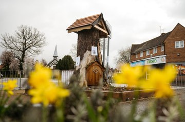 A Fairy Tale Tree In Kingswinford Is Being  Knocked Down By The Council