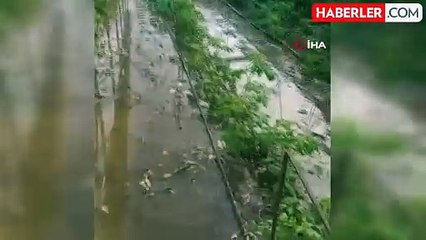 Hatay'da caddeler göle döndü, seralar su altında kaldı